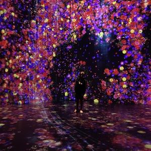 Meet your Posher, Fredrick